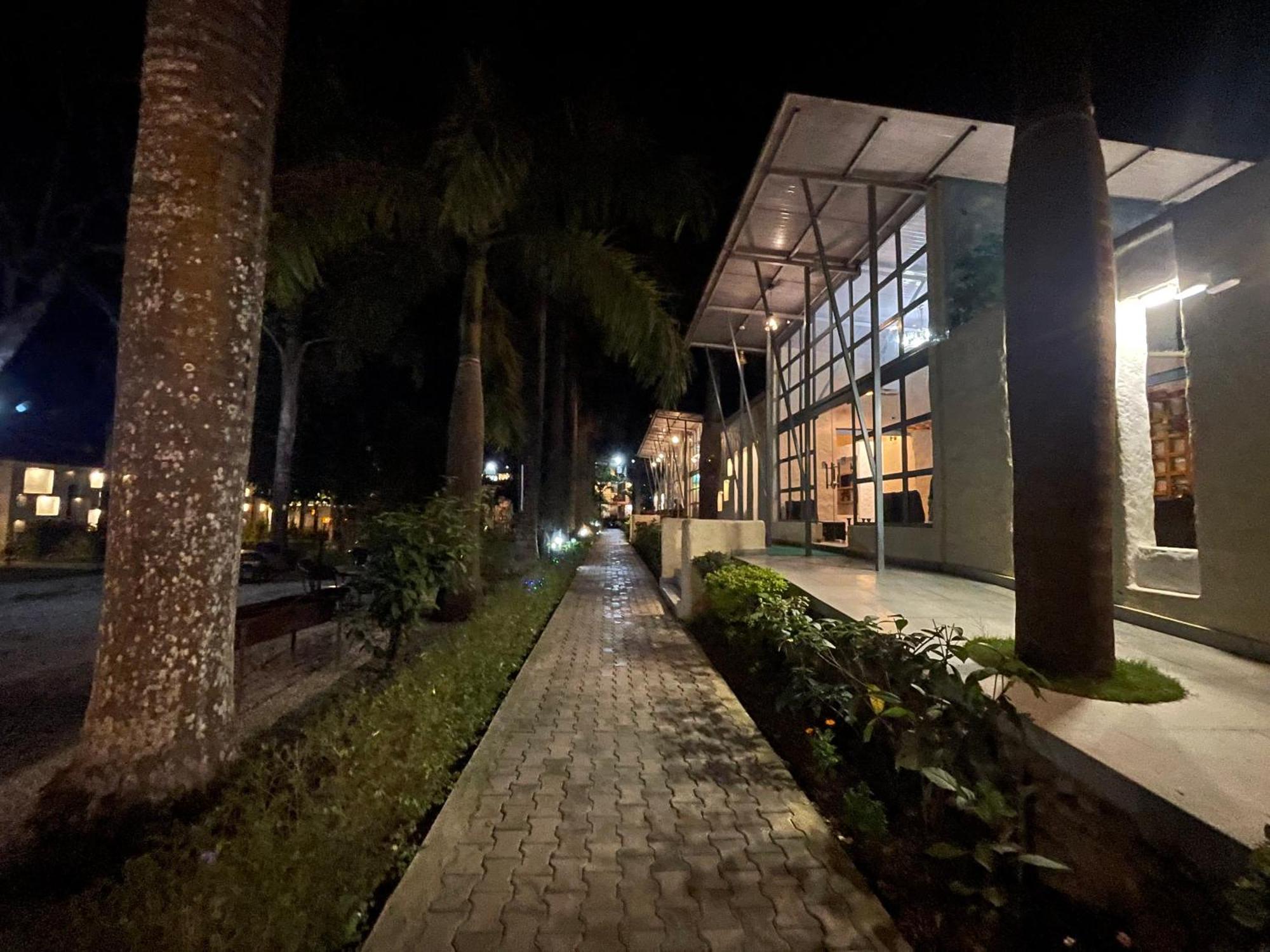 Royal Tiger Luxury Resort Sauraha Eksteriør billede