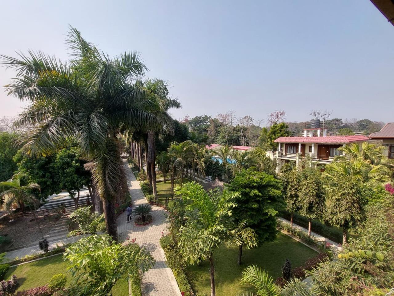 Royal Tiger Luxury Resort Sauraha Eksteriør billede